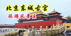 骚妇激情视频免费观看骚中国北京-东城古宫旅游风景区